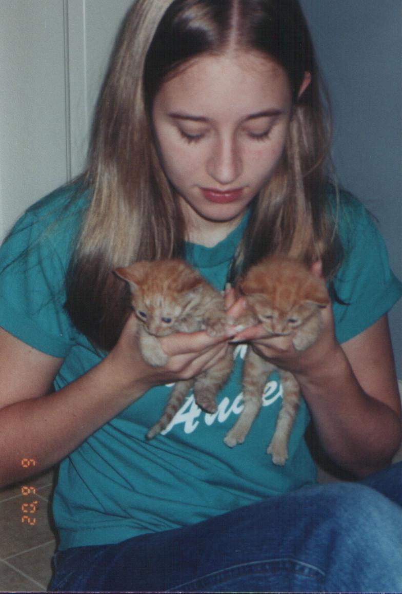 jenkittens.jpg