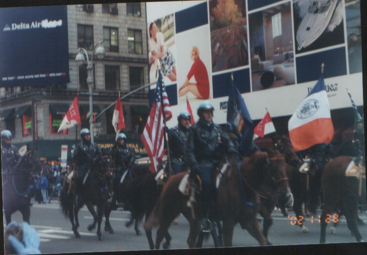 nypd.jpg